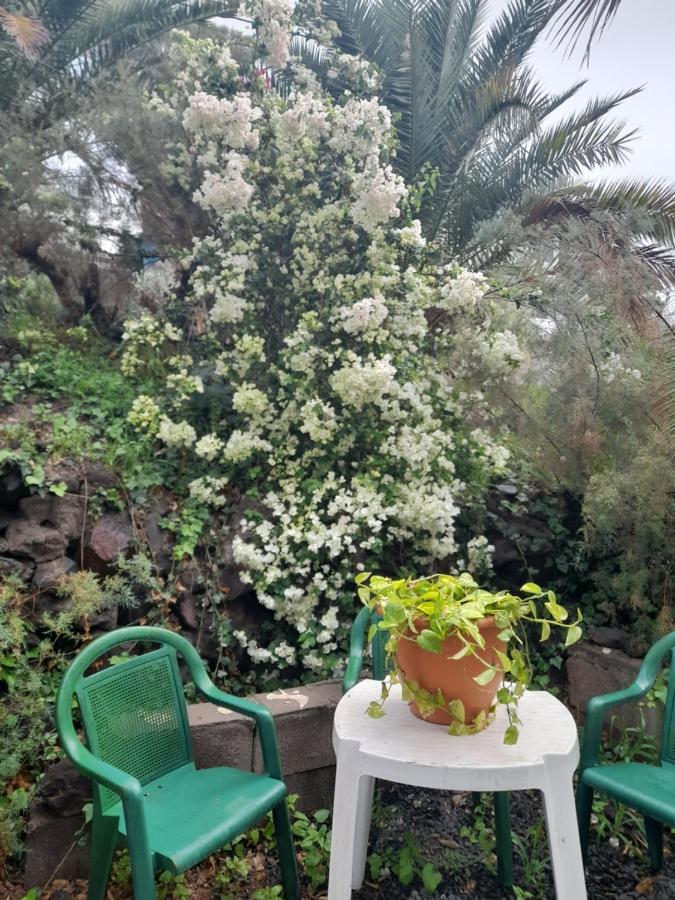 Appartamento -The Garden - Las Palmas de Gran Canaria Esterno foto