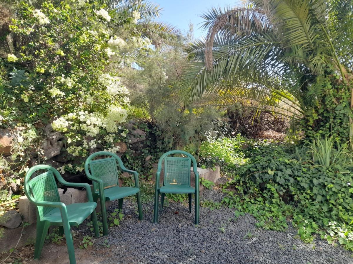 Appartamento -The Garden - Las Palmas de Gran Canaria Esterno foto